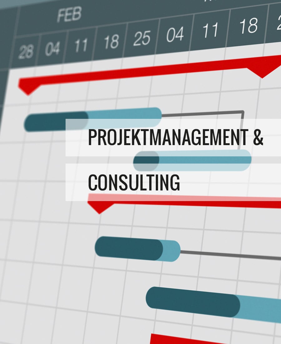 Projektmanagement_Consulting_NEU02
