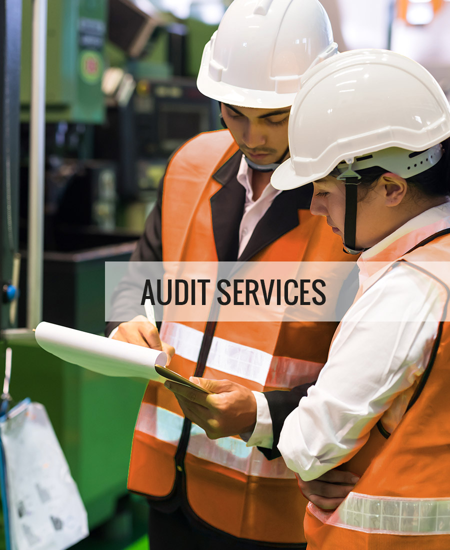 Audit_Services_NEU02-1